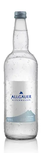 Allgäuer Spritzig 1L PET FL